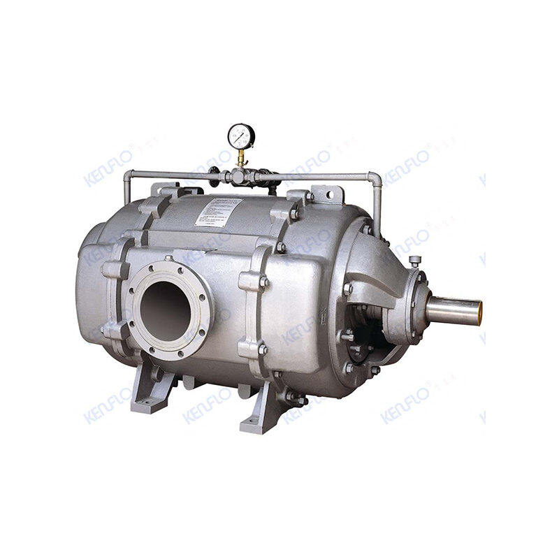 SK(2YK) Liquid Ring Vacuum Pump