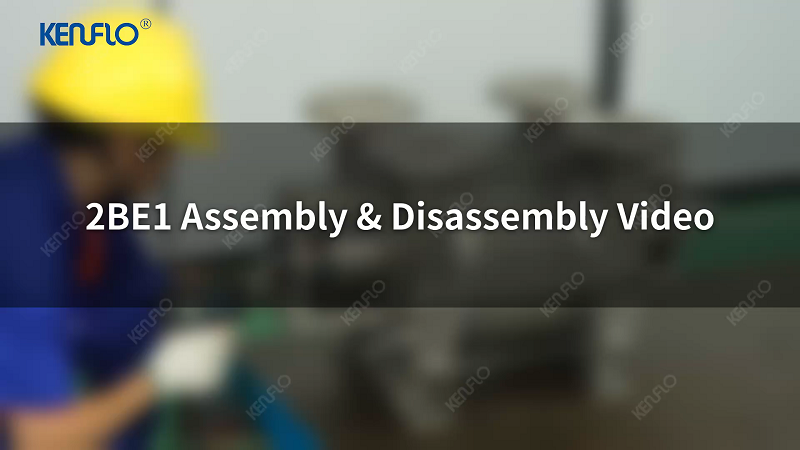 2BE1 Assembly & Disassembly Guideline