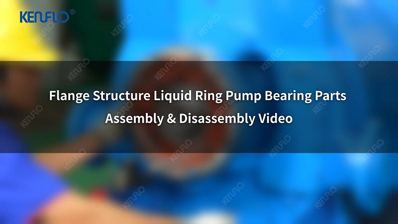 Flange Structure Liquid Ring Pump Bearing Parts Assembly & Disassembly Guide